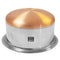 Patila Stainless Steel Copper Bottom Tope with lid