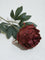 Westside Home Dark Red Artificial Peony