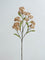 Westside Home Brown Gumdigger Stem Artificial Flower