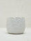 Westside Home White Scallop Textured Ceramic Planter