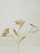 Westside Home Gold Metal Flower Decorative Accessory