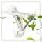 Green Tea Revitalizing Face Mist |100 ml