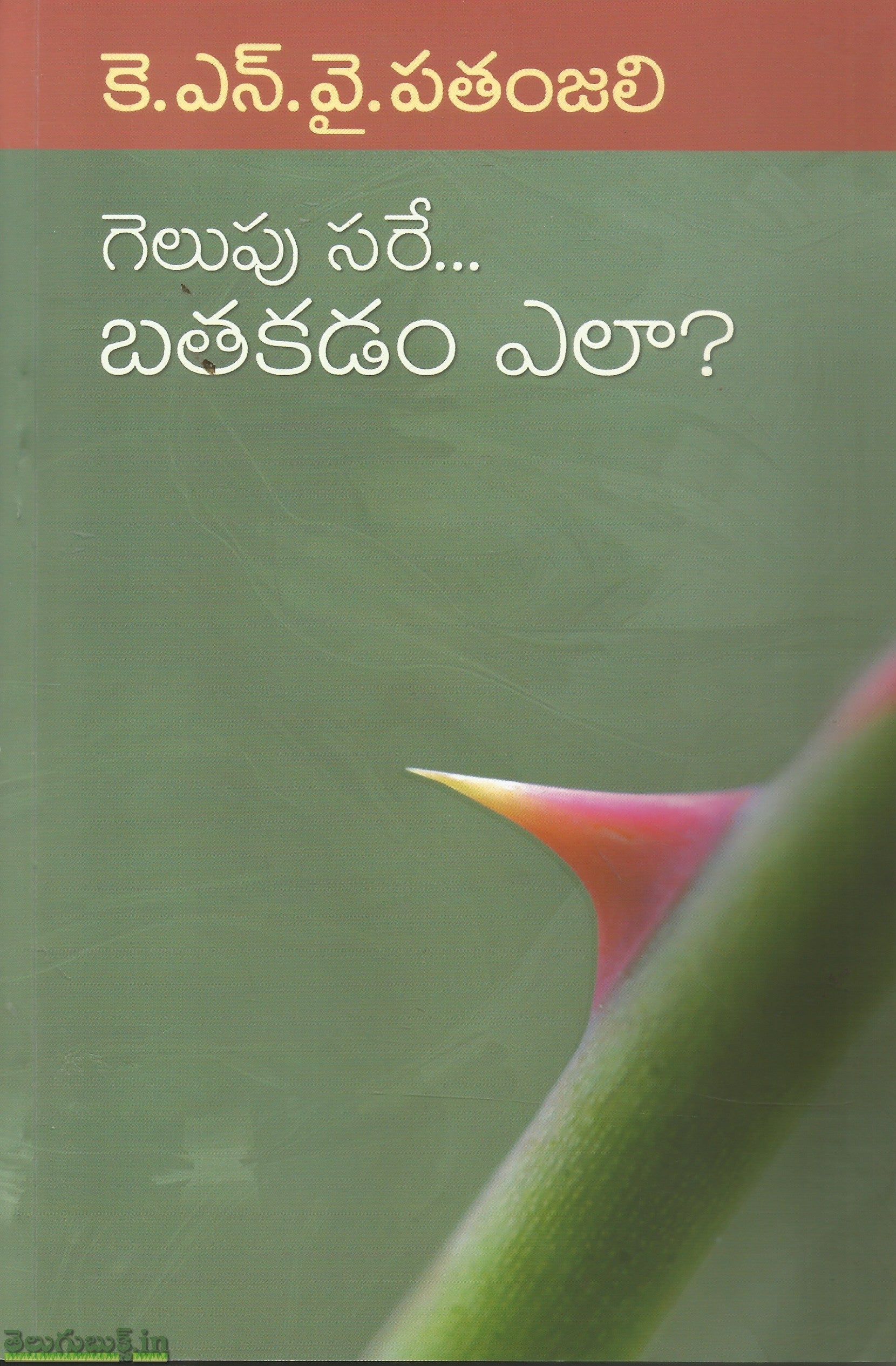 Gelupu Sare Brathakadam Ala