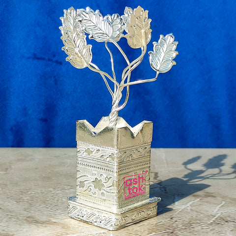 German Silver Tree, Tulsi Tree Height - 3 Inches