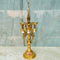 Brass Peacock Diya with Stand, Brass Traditional Puja Diya, Decorative Oil Lamp