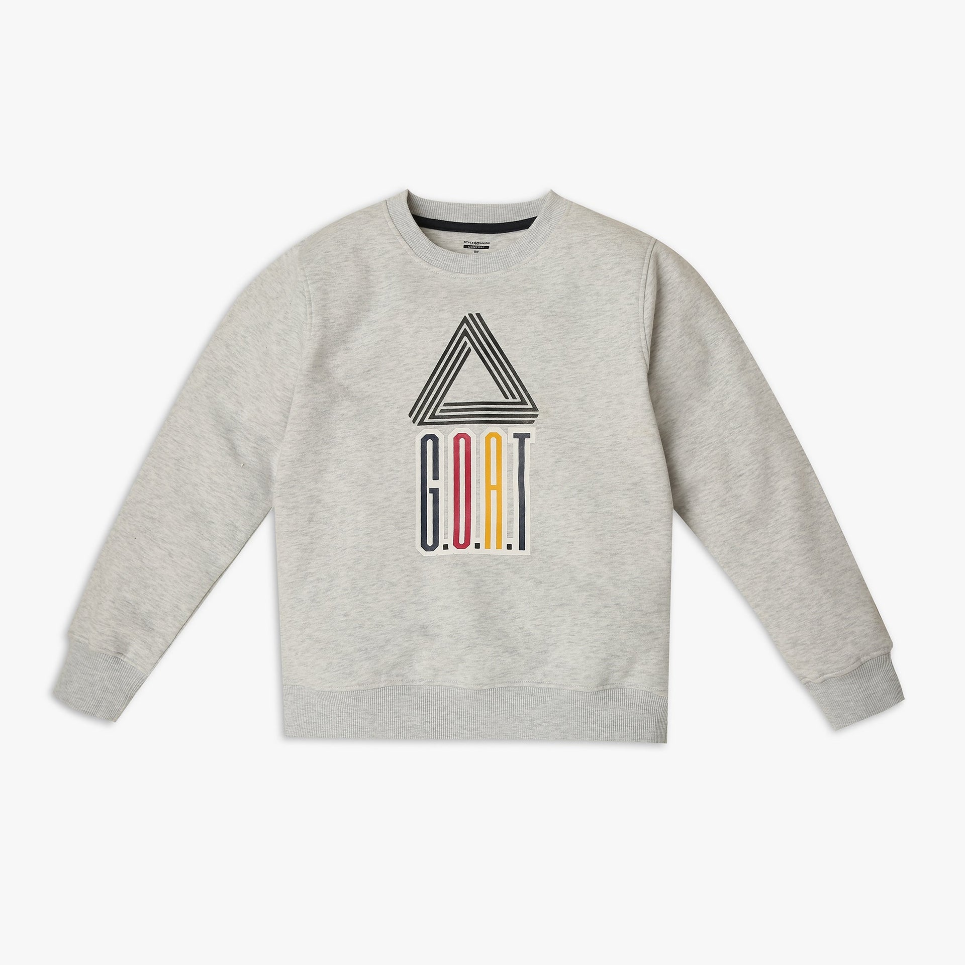 Boy's Regular Fit Graphic Sweat Tee