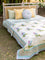 The Baagh Block Printed Cotton Quilt