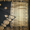 Black Tussar Handloom Jewellery Border All Over Buttas Saree
