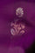 Kuppadam Silk Buttis Purple Saree