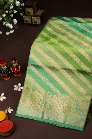 Chiniya Silk Multi Colour Saree