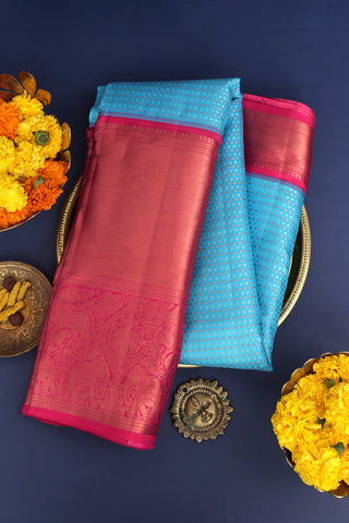 Coimbatore Silk Light Blue Saree