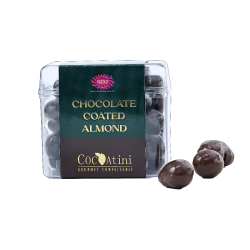 Chocolate Coated Almond 250g